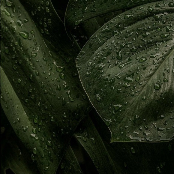 Meet your Posher, M - Picture 2 of 2